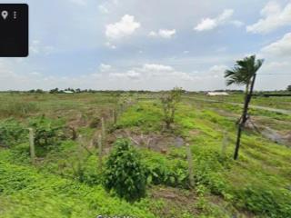 500m2 đất trồng cây xã bình mỹ chỉ 1.5 tỷ