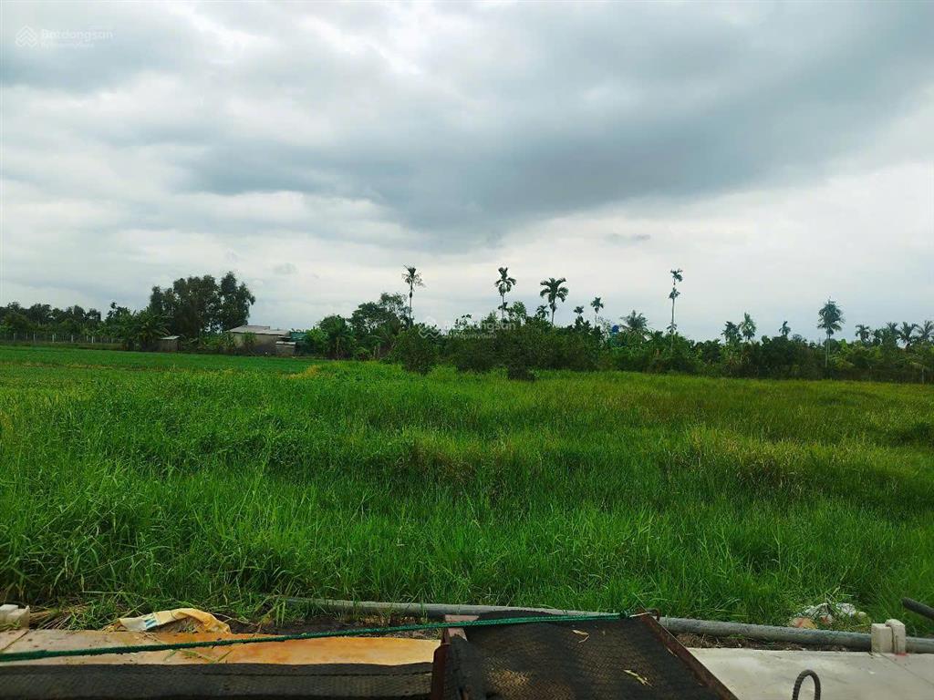 Đất full thổ xây dựng được ngay xã bình mỹ chỉ 1.65 tỷ