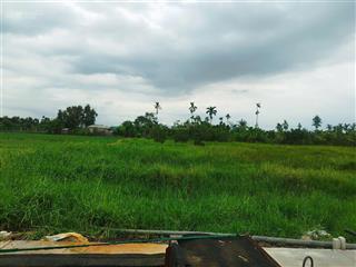 Đất full thổ xây dựng được ngay xã bình mỹ chỉ 1.65 tỷ