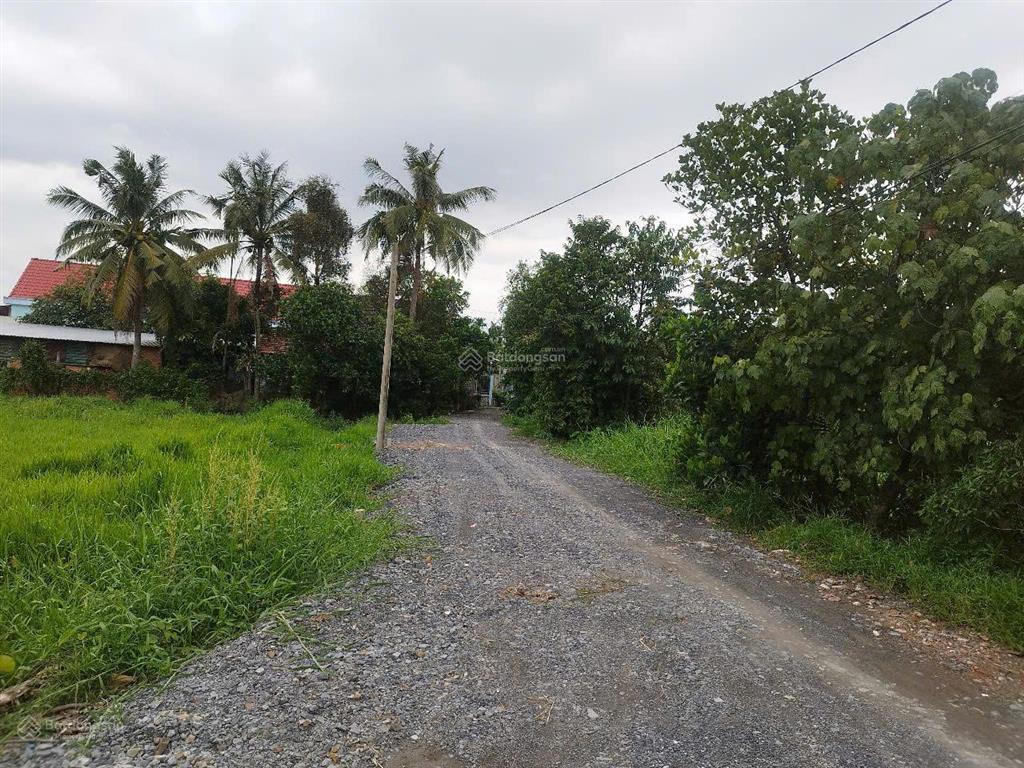 Đất full thổ xây dựng được ngay xã bình mỹ chỉ 1.65 tỷ