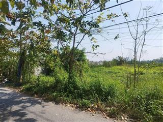 Đất mặt tiền nhựa xã bình mỹ chỉ 1,77 triệu/m2