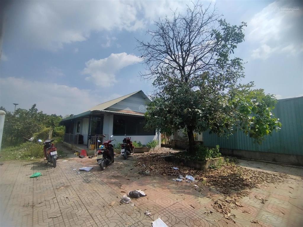 Nhà vườn đẹp 1000m2 đất thổ cư xã bình mỹ chỉ 6.5 triệu/m2 còn tl