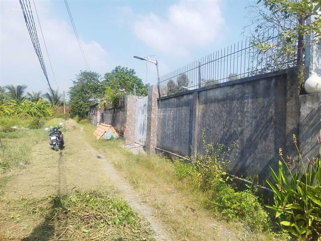 Nhà vườn đẹp 1000m2 đất thổ cư xã bình mỹ chỉ 6.5 triệu/m2 còn tl