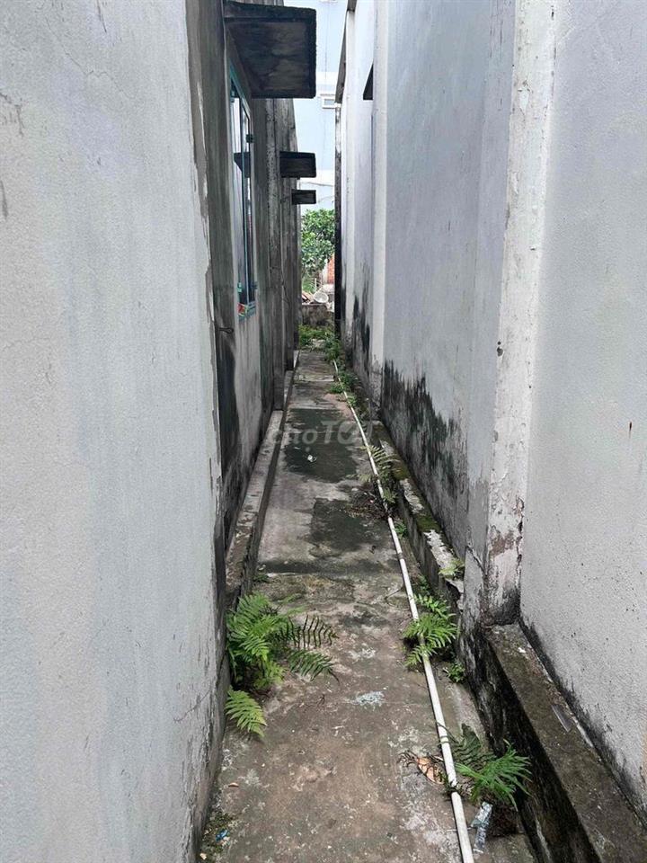 Nhà cấp 4 diện tích rộng 203m2