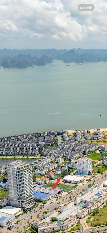 Gia đình cần bán nhanh ô đất biệt thự phường bãi cháy mặt tiển 15m giá 58 triệu/m2