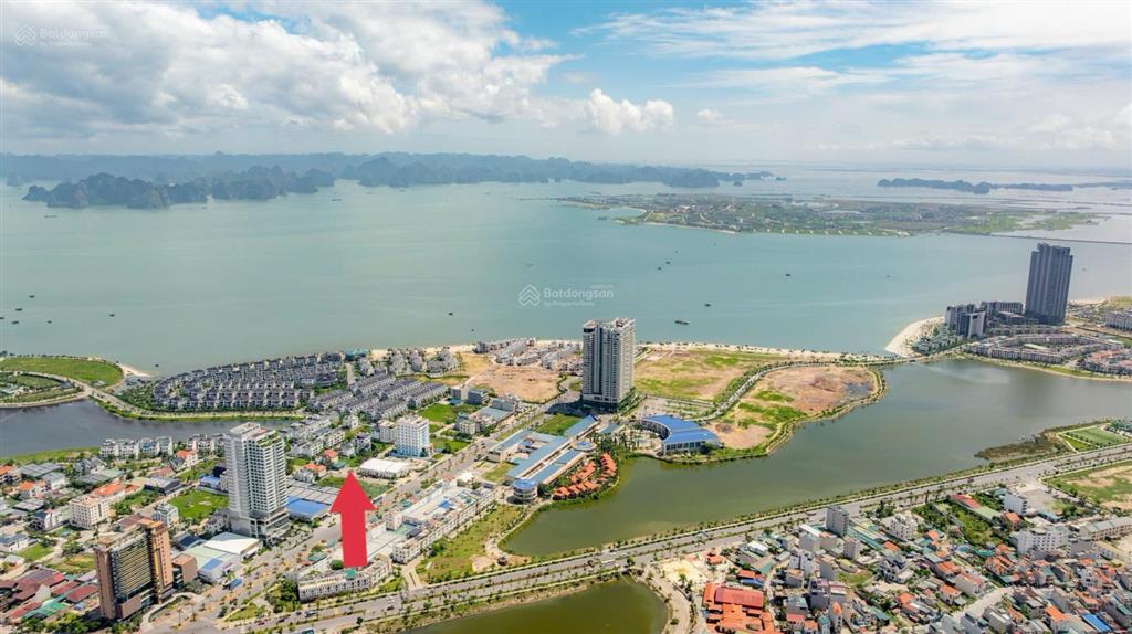 Gia đình cần bán nhanh ô đất biệt thự phường bãi cháy mặt tiển 15m giá 58 triệu/m2