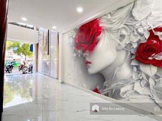 Mặt tiền hoàng sa tân bình  vỉa hè 5m  giáp q.3 & phú nhuận  10.98 tỷ