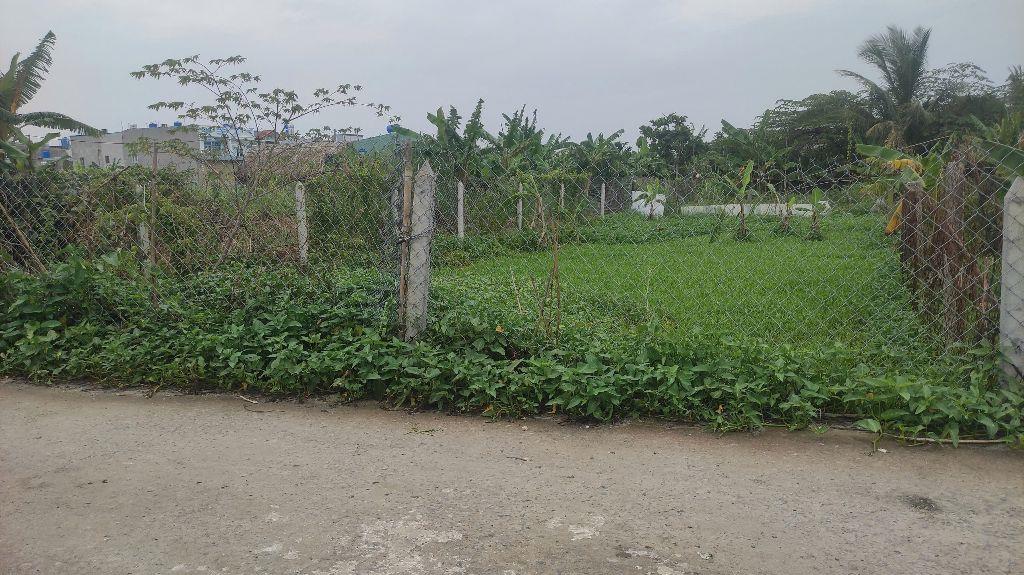 Đất đường ô Tô Thông, Bình Mỹ, Củ Chi, 8.5x25m, 990tr