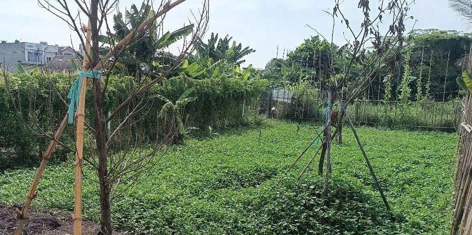 Đất đường Bình Mỹ ô tô thông, 8,5x12,5m xây ở liền. 550tr