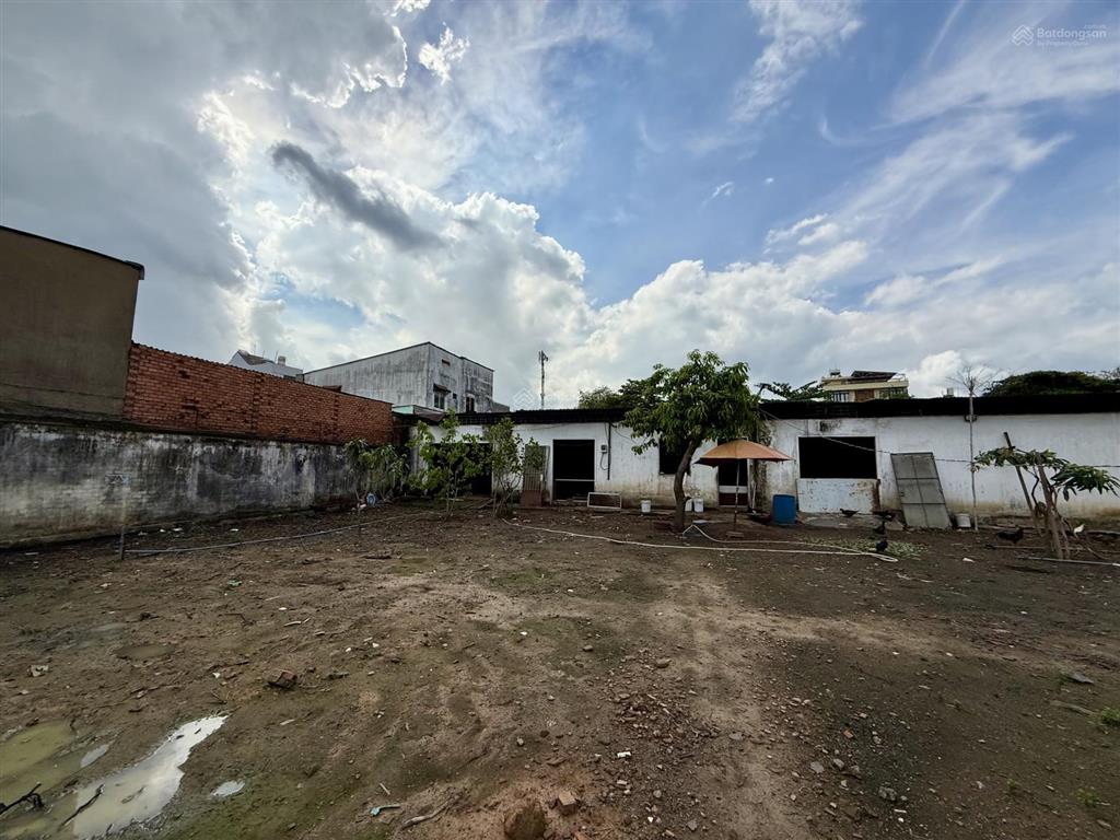 1.584,6m đất mặt tiền đường số 8 linh xuân | thổ cư gần full | 89 tỷ thương lượng