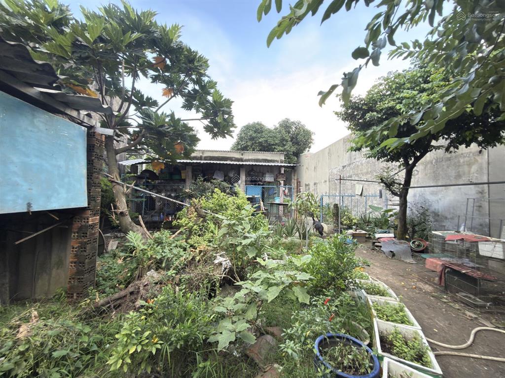 Nhà vườn linh xuân | 660m full thổ | ngang 12m | chỉ 20tỷ9 thương lượng