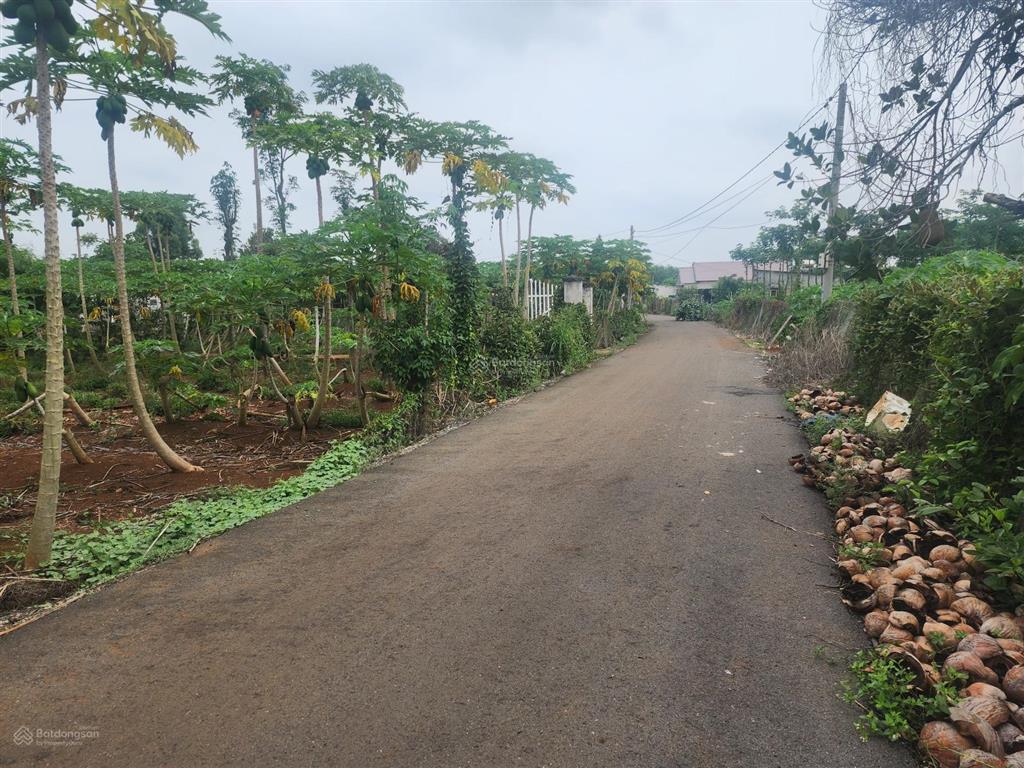 Bán đất xuân sơn đường thông thoán giá đầu tư
