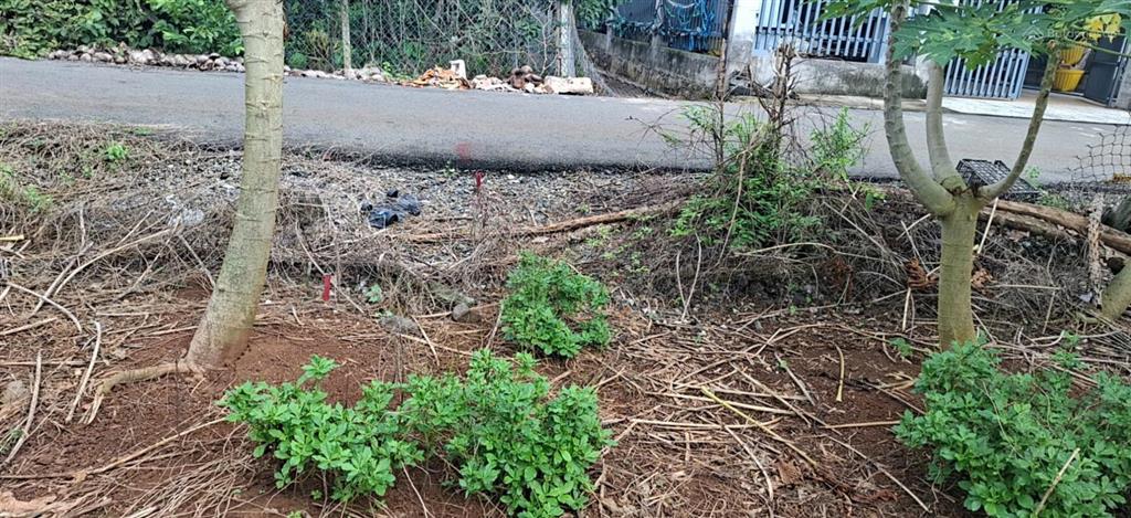 Bán đất xuân sơn đường thông thoán giá đầu tư
