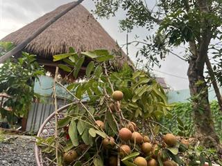 nhà vườn sinh thái để ở 