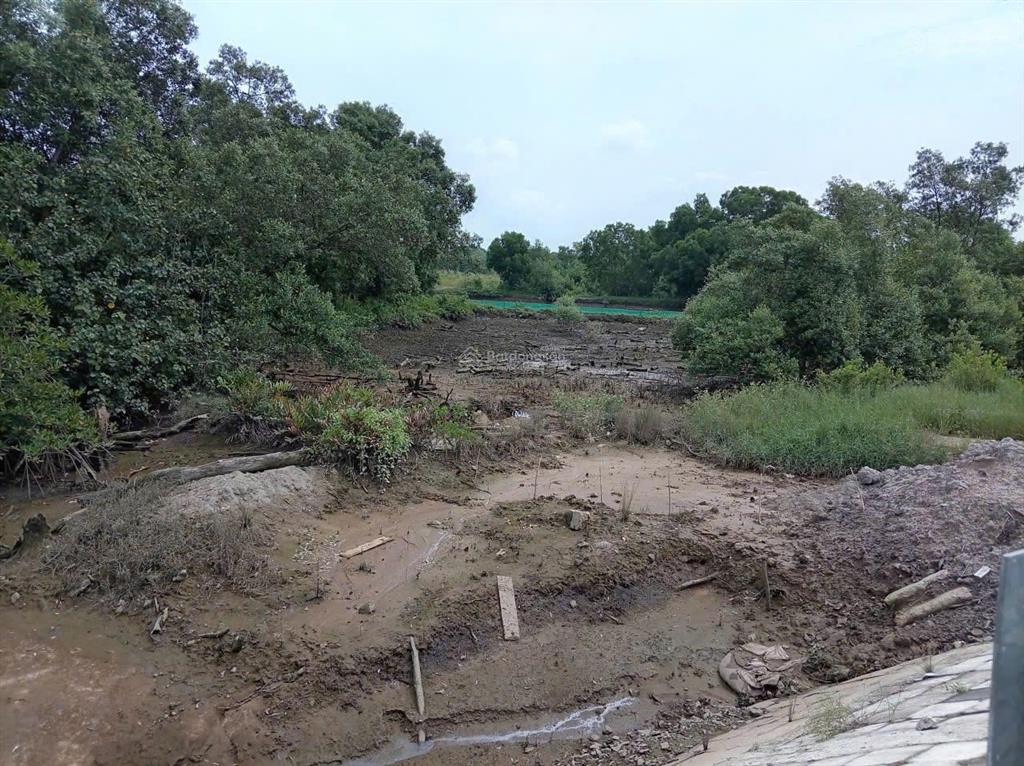 Bán 5.564 m2 đất mặt tiền đường trường chinh, xã phước an, đồng nai