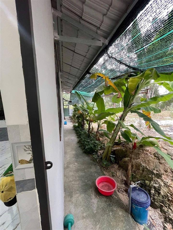 Cho thuê nhà riêng mới xây 150m² sân vườn, đường ô tô tại phù sa, vĩnh ngọc, nha trang  giá 6.5 tr