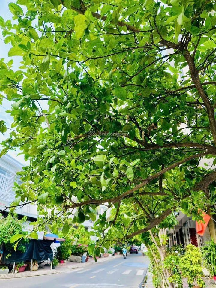 Cho thuê nhà mặt tiền hà quang 2 nha trang 56m² 3 tầng 20tr/tháng đường 12m ô tô tránh