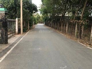 Bán đất định hòa, thủ dầu một 1167m², mặt tiền đường nhựa 5m, giá chỉ 7,8 tỷ
