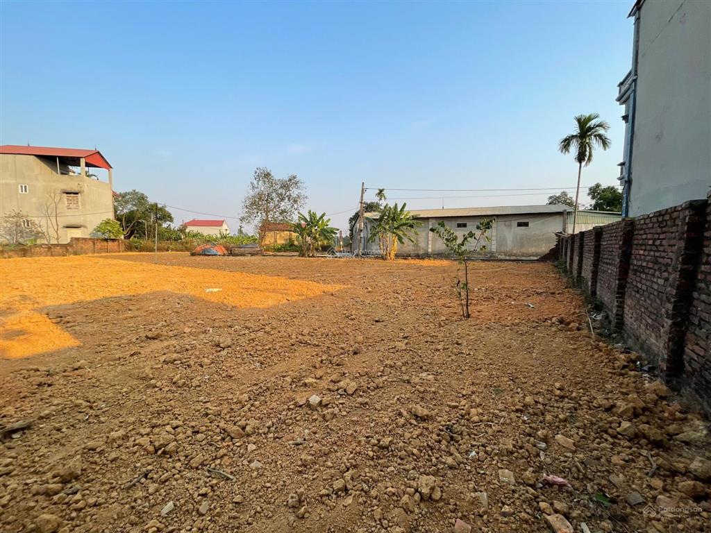Bán đất 162m2 tại đan tảo, tân minh, sóc sơn. ngõ ô tô 4m, gần trường đua ngựa, tiềm năng đầu tư
