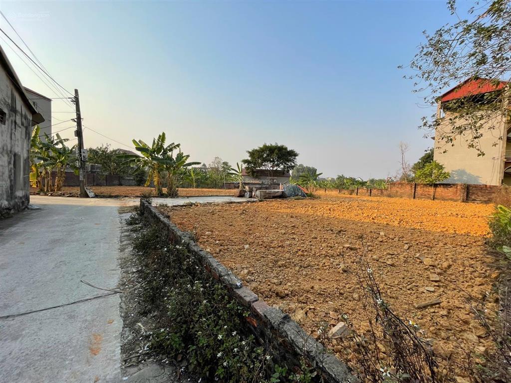 Bán đất 162m2 tại đan tảo, tân minh, sóc sơn. ngõ ô tô 4m, gần trường đua ngựa, tiềm năng đầu tư