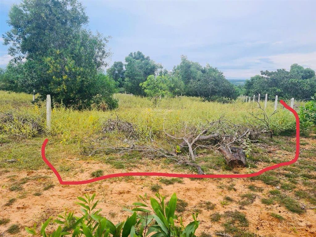 Bán nhanh 1000m2 đất cln ở thiện nghiệp, giá thương lượng,  0987 880 ***