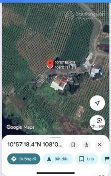 Cần bán 2064m2 đất cây lâu năm thuộc phường bình thuận, giá 400tr/1000m2,  0987 880 ***