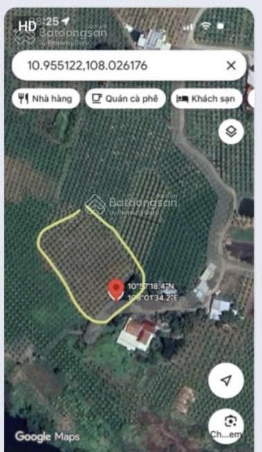 Cần bán 2064m2 đất cây lâu năm thuộc phường bình thuận, giá 400tr/1000m2,  0987 880 ***