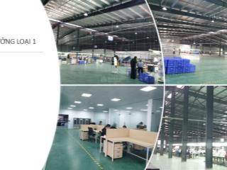 Cho thuê kho xưởng xã phù ninh, tỉnh phú thọ, quốc lộ 2 tổng diện tích toàn khu 150000m2