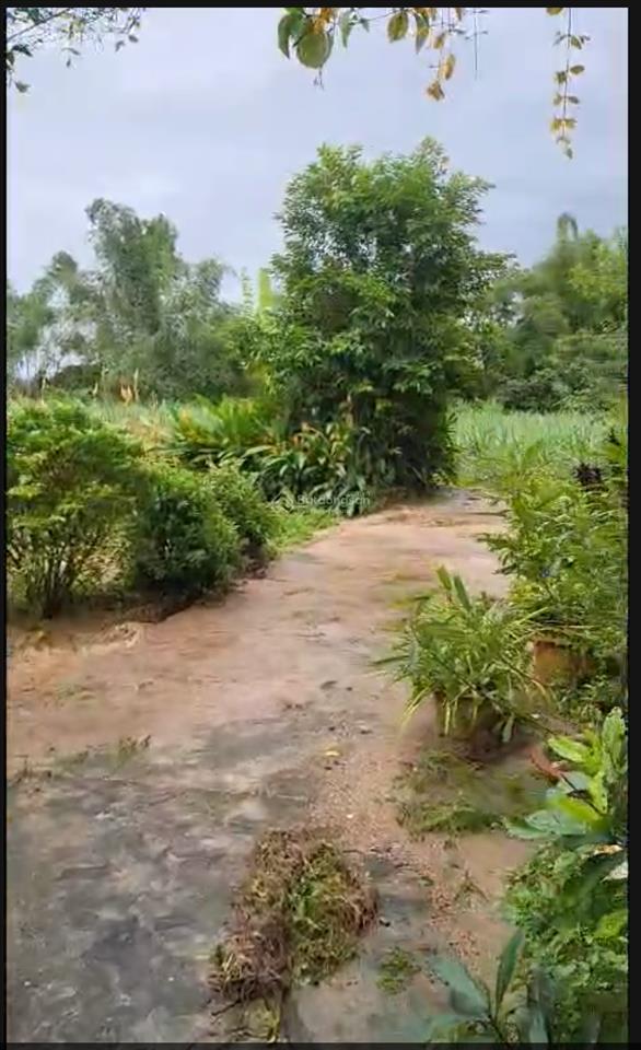 Bán đất tại đường 39, bình lộc, diên khánh, khánh hòa, giá tốt chỉ với 1,52 tỷ, 114,3m2