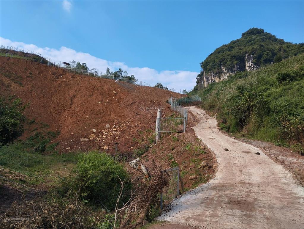 Chính chủ cần bán đất làm trang trại, nghỉ dưỡng tại cao phong
