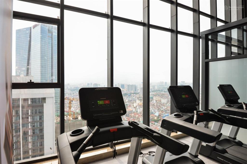 Cần cho thuê căn hộ 2 ngủ 25 triệu và căn 3 ngủ giá 33 triệu chung cư vinhomes metropolis