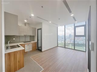 Eco green q7cho thuê căn hộ cực hiếm  hot layout1pn 1wc ntcb  13tr/th,view công viên hương tràm