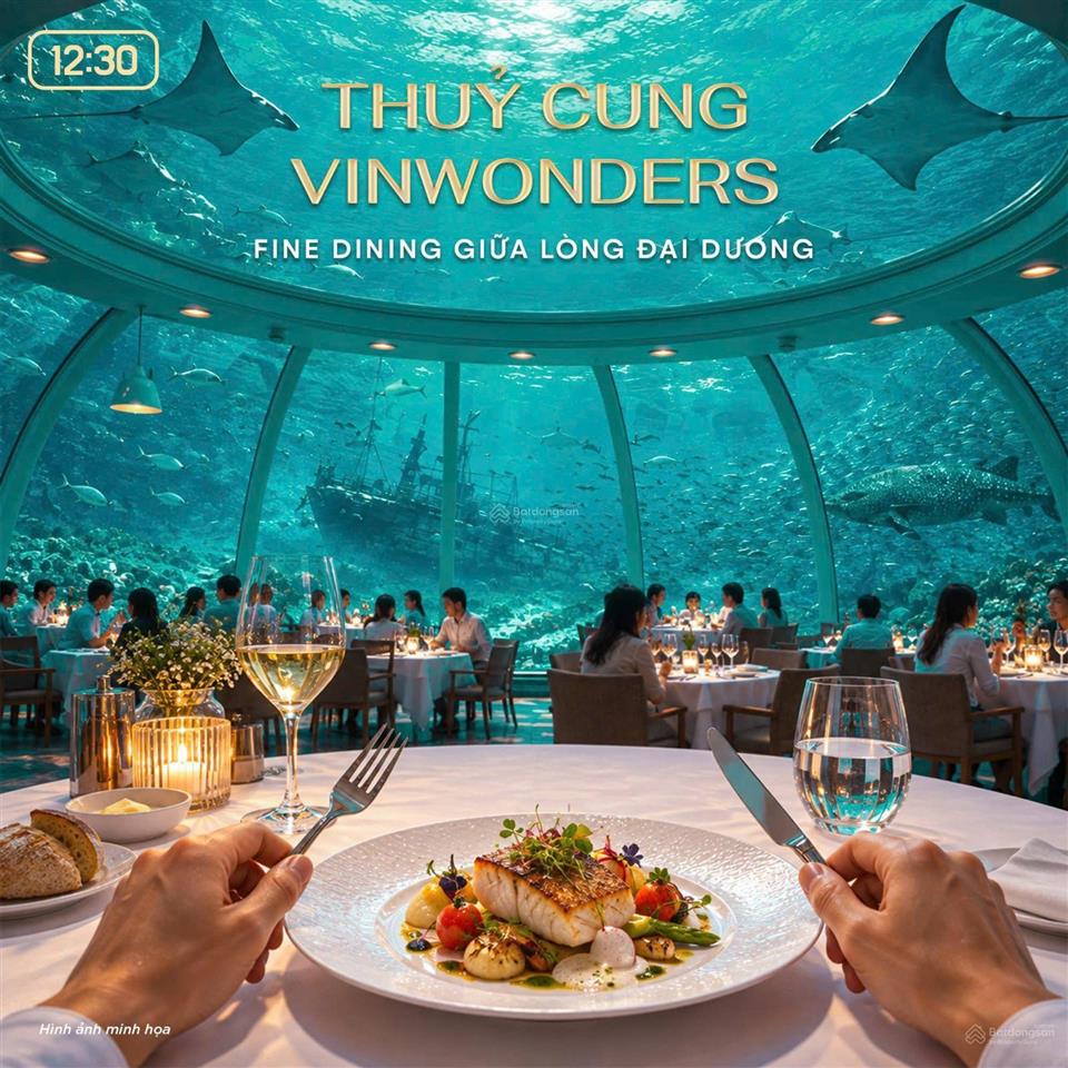 Căn liền kề cực đẹp dự án vin hạ long xanh