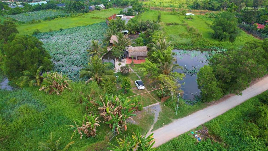 1192m đất mặt tiền kênh đá hàng tại xã bình mỹ, củ chi.