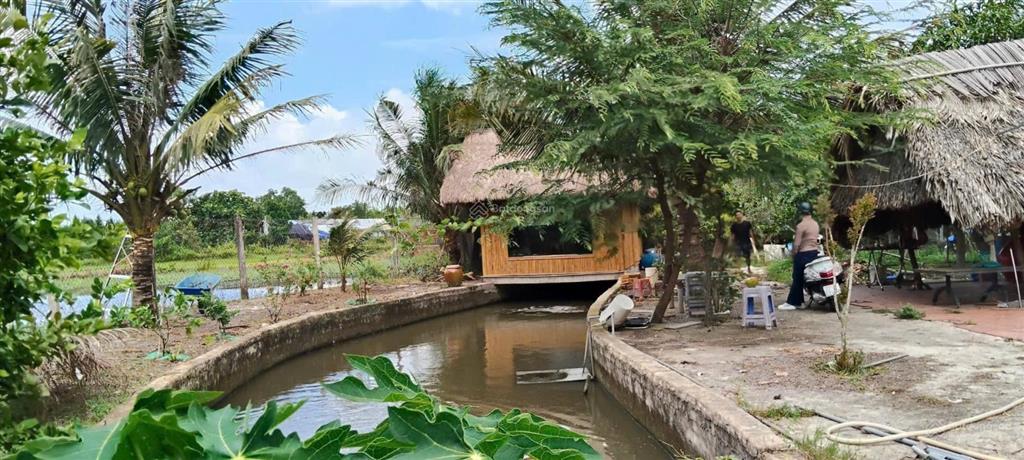Bán đất tại mặt tiền rạch đá hàng, bình mỹ, 6 tỷ vnd, 1192 m2