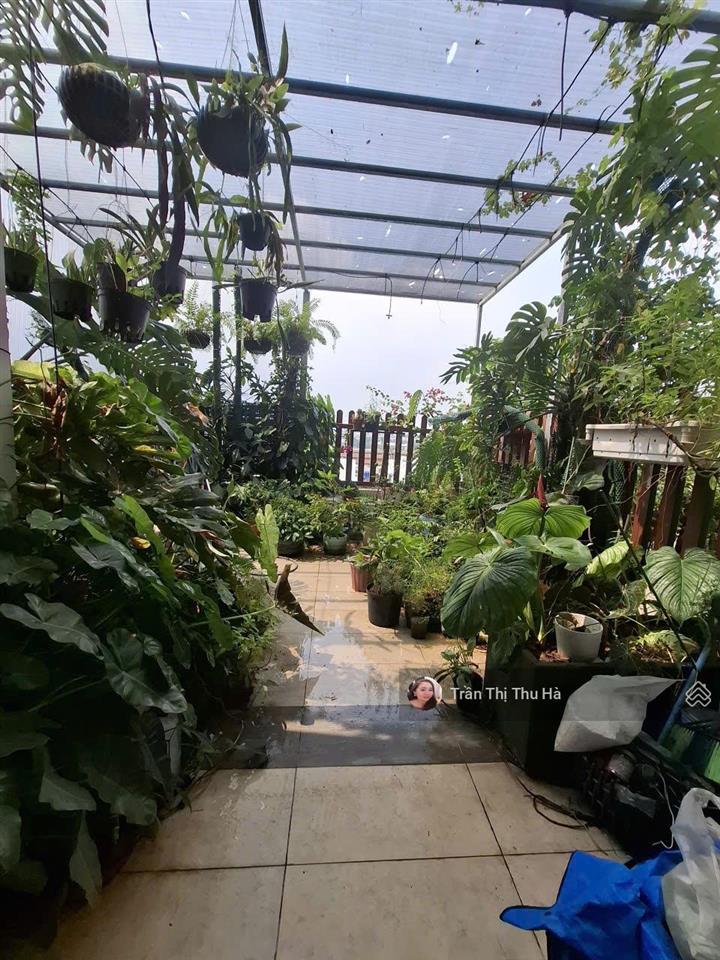 Cho thuê căn sân vườn riêng tầng 5  căn góc 69m2 10tr/th   0932 758 ***