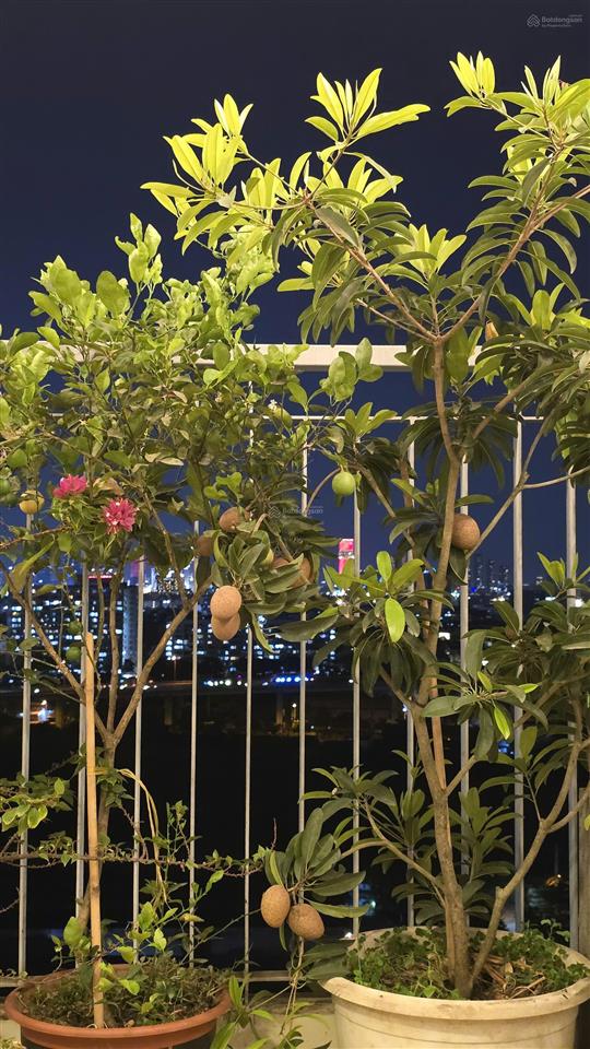 Bán penthouse cc luxgarden quận 7, có sân vườn riêng giá 7,9 tỷ