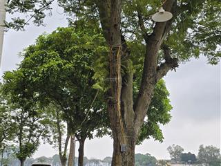 Tôi cần bán mảnh đất ở quảng an tây hồ diện tích 50m2, mặt tiền 5m2, giá 17.5 tỷ có thương lượng