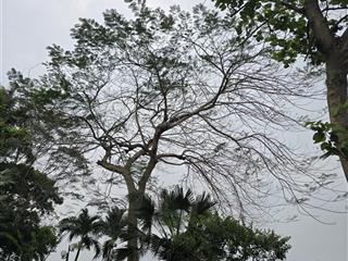 Chính chủ cho thuê nhà lô góc nhà xây mới ở âu cơ, 5 p ngủ chỉ 10 triệu/tháng, ngõ ô tô đỗ cửa