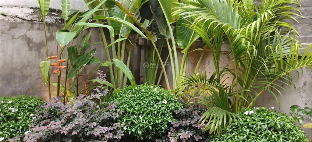 Cho thuê nhà sân vườn ở lạc long quân vị trí đẹp gần phố, 100m², mt 6m², giá 12 triệu/1 tháng
