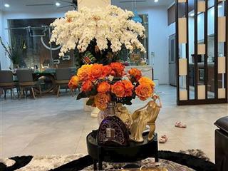 Biệt thự 4 tầng khu phân lô vip lê hồng phong vị trí đắc địa trung tâm hải phòng