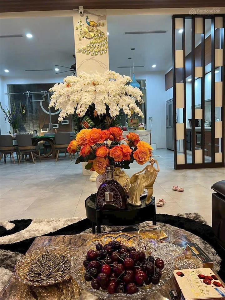 Biệt thự 4 tầng khu phân lô vip lê hồng phong vị trí đắc địa trung tâm hải phòng
