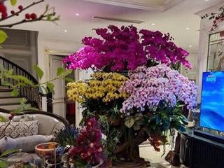 Đất tặng nhà 2 tầng mt hoàng sĩ khải, gần biển mỹ khê, đường rộng, vừa ở vừa đầu tư