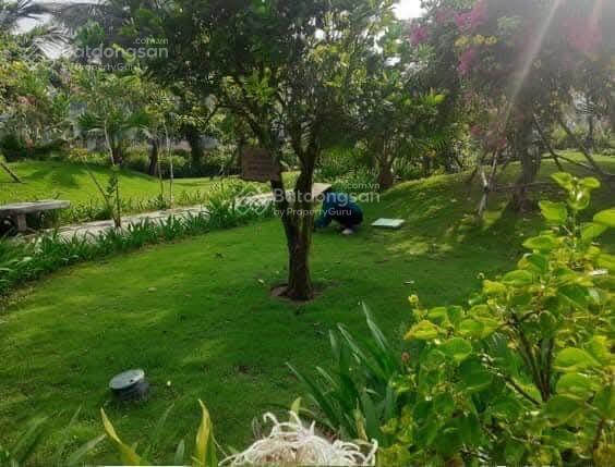 Bán căn biệt thự dự án casamia view sông hội an. diện tích đất 303m,ngoài mặt sông 150m được sử dụg