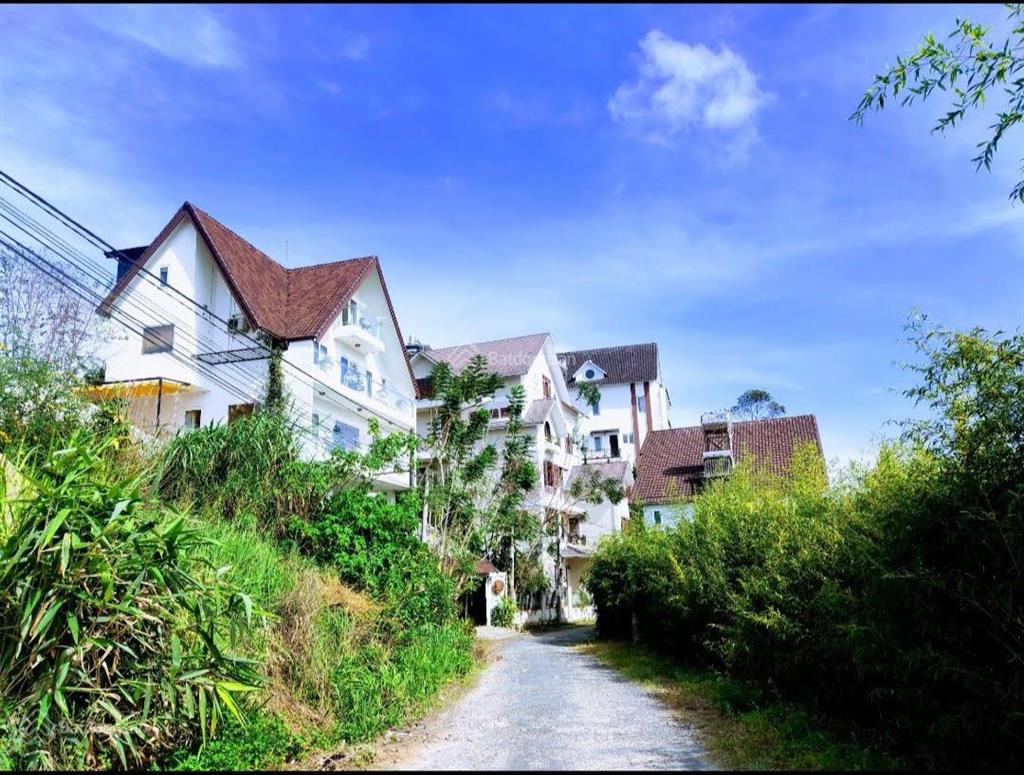 Cần bán lô đất siêu vip khu đồi huy hoàng đà lạt 2500m², giá cạnh tranh khu vực, chỉ còn 1 lô