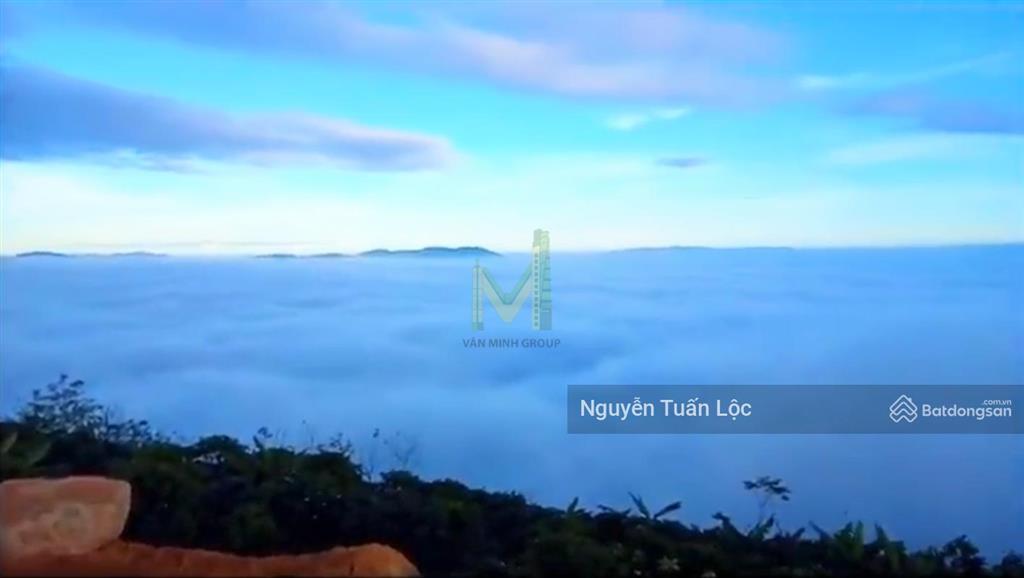 Chính chủ bán lô đất kim cương vip 35 ha tại bảo lộc, lâm đồng chuyển full thổ cư, siêu view