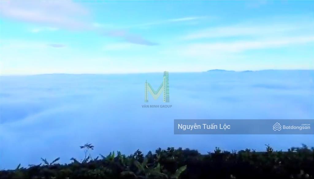 Chính chủ bán lô đất kim cương vip 35 ha tại bảo lộc, lâm đồng chuyển full thổ cư, siêu view