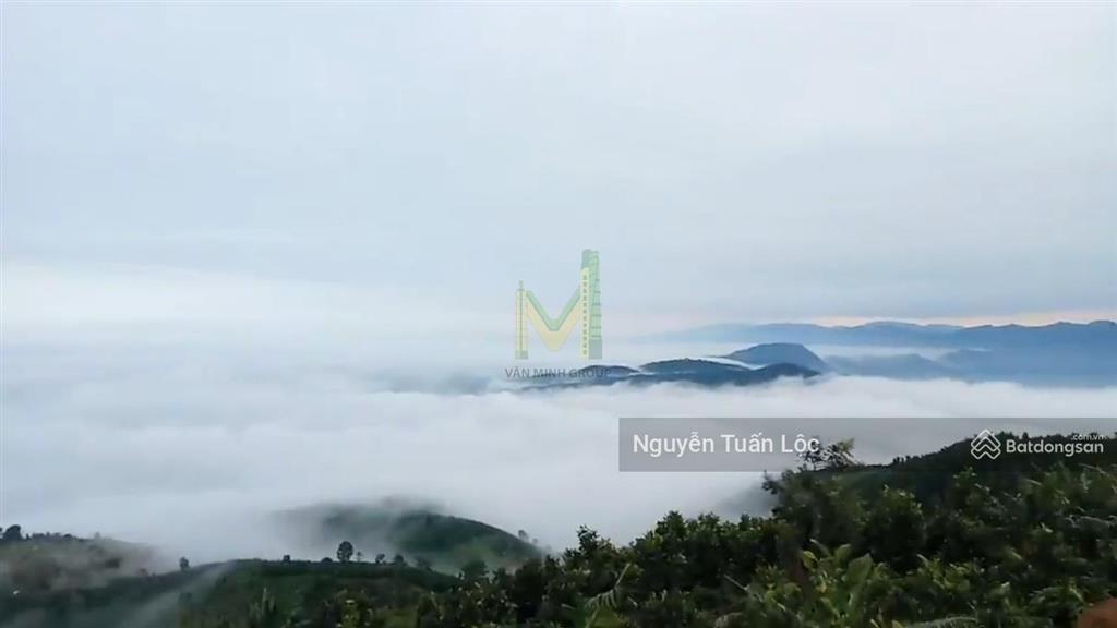 Chính chủ bán lô đất kim cương vip 35 ha tại bảo lộc, lâm đồng chuyển full thổ cư, siêu view