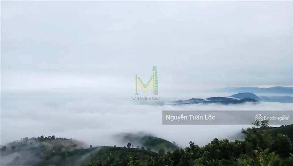 Chính chủ bán lô đất kim cương vip 35 ha tại bảo lộc, lâm đồng chuyển full thổ cư, siêu view