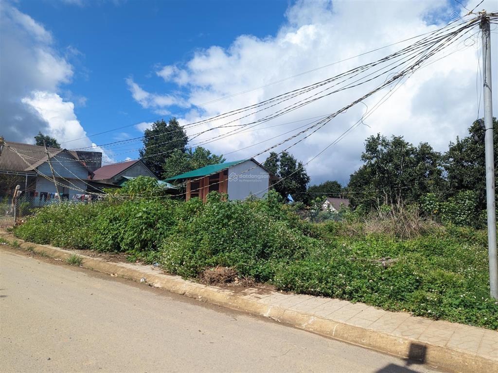 Chính chủ bán lô đất 226m2 mặt tiền lạc dương, đà lạt, sổ hồng riêng xd, chỉ 1.8 tỷ thương lượng
